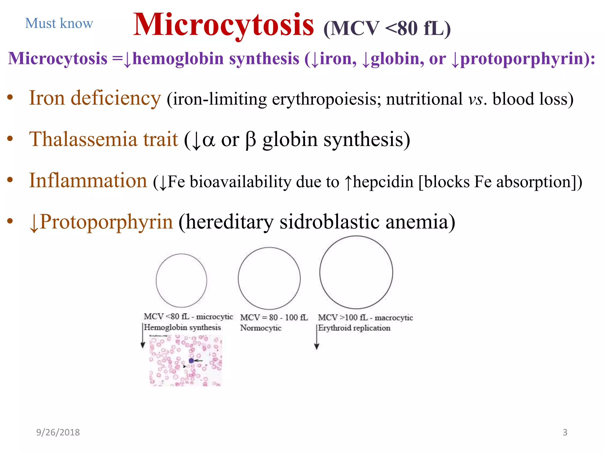 Microcytosis (MCV <80 fL)
Microcytosis =↓hemoglobin synthesis (↓iron, ↓globin, or ↓protoporphyrin):
• Iron deficiency (iron-limiting erythropoiesis; nutritional vs. blood loss)
• Thalassemia trait (↓a or b globin synthesis)
• Inflammation (↓Fe bioavailability due to ↑hepcidin [blocks Fe absorption])
• ↓Protoporphyrin (hereditary sidroblastic anemia)
9/26/2018 3
Must know
 
