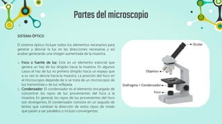 Partesdelmicroscopio
SISTEMA ÓPTICO
El sistema óptico incluye todos los elementos necesarios para
generar y desviar la luz en las direcciones necesarias y así
acabar generando una imagen aumentada de la muestra.
o Foco o fuente de luz: Este es un elemento esencial que
genera un haz de luz dirigido hacia la muestra. En algunos
casos el haz de luz es primero dirigido hacia un espejo que
a su vez lo desvía hacia la muestra. La posición del foco en
el microscopio depende de si se trata de un microscopio de
luz transmitida o de luz reflejada.
o Condensador: El condensador es el elemento encargado de
concentrar los rayos de luz provenientes del foco a la
muestra. En general, los rayos de luz provenientes del foco
son divergentes. El condensador consiste en un seguido de
lentes que cambian la dirección de estos rayos de modo
que pasen a ser paralelos o incluso convergentes.
 