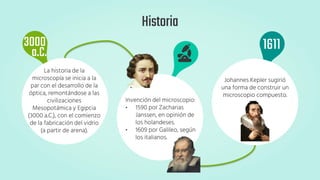 3000 1611
Invención del microscopio:
• 1590 por Zacharias
Janssen, en opinión de
los holandeses.
• 1609 por Galileo, según
los italianos.
La historia de la
microscopía se inicia a la
par con el desarrollo de la
óptica, remontándose a las
civilizaciones
Mesopotámica y Egipcia
(3000 a.C.), con el comienzo
de la fabricación del vidrio
(a partir de arena).
a.C.
Johannes Kepler sugirió
una forma de construir un
microscopio compuesto.
Historia
 