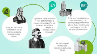 1931
El profesor Abbe, publicó la
“Teoría de la forma de la
imagen microscópica” y por
encargo de Carl Zeiss
mejoró la
microscopía de
inmersión.
Boreli, en Italia fue el
primero que uso el
microscopio para
estudiar tejido
animal.
El microscopio electrónico
de transmisión (T.E.M.)
desarrollada por Max Knoll
y Ernst Ruska en Alemania,
fue el primer tipo de
microscopio electrónico
1877
En 1942 surge el
microscopio
electrónico de barrido
(SEM)
 