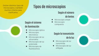 Segúnelsistema
deiluminación
● Microscopio óptico
● Microscopio
electrónico
● Microscopio de luz
ultravioleta
● Microscopio de luz
polarizada
● Microscopio de
fluorescencia
Segúnelnúmero
delentes
● Microscopio simple
● Microscopio
compuesto
Segúnlatransmisión
delaluz
● Microscopio de luz
transmitida
● Microscopio de luz
reflejada
Tiposdemicroscopios
Existen distintos tipos de
microscopios y también
muchos criterios para
clasificarlos.
 
