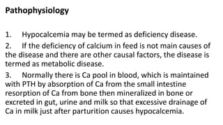 Pathophysiology
1. Hypocalcemia may be termed as deficiency disease.
2. If the deficiency of calcium in feed is not main causes of
the disease and there are other causal factors, the disease is
termed as metabolic disease.
3. Normally there is Ca pool in blood, which is maintained
with PTH by absorption of Ca from the small intestine
resorption of Ca from bone then mineralized in bone or
excreted in gut, urine and milk so that excessive drainage of
Ca in milk just after parturition causes hypocalcemia.
 
