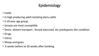 Epidemiology
• Cattle
• In high producing adult lactating dairy cattle
• 5-10 year age group.
• Jerseys are most susceptible
• Stress :distant transport , forced exercised, etc predisposes the condition
• Drugs
• estrus
• Sheep and goats
• 6 weeks before to 10 weeks after lambing.
 