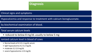 Diagnosis
Clinical signs and symptoms
Hypocalcemia and response to treatment with calcium borogluconate.
by biochemical examination of blood.
Total serum calcium levels
• reduced to below 8 mg/dL usually to below 5 mg
ionized calcium level in blood of cows
• Normal levels of 4.3-5.1 mg/dL serum
• light hypocalcemia 4.2-3.2 mg/dL
• moderate 3.2-2.0 mg/dL
• severe hypocalcemia <2.0 mg/dL
 