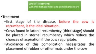 Line of Treatment:
General management and clinical procedure
•Treatment
•first stage of the disease, before the cow is
recumbent, is the ideal situation.
•Cows found in lateral recumbency (third stage) should
be placed in sternal recumbency which reduce the
chances of aspiration if the cow regurgitate.
•Avoidance of this complication necessitates the
placement of rubber or other mats under the cow
 