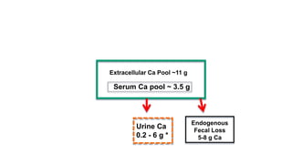 Extracellular Ca Pool ~11 g
Serum Ca pool ~ 3.5 g
Urine Ca
0.2 - 6 g *
Endogenous
Fecal Loss
5-8 g Ca
 