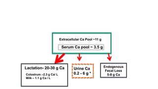 Extracellular Ca Pool ~11 g
Serum Ca pool ~ 3.5 g
Urine Ca
0.2 - 6 g *
Lactation- 20-30 g Ca
Colostrum –2.3 g Ca/ L
Milk – 1.1 g Ca / L
Endogenous
Fecal Loss
5-8 g Ca
 