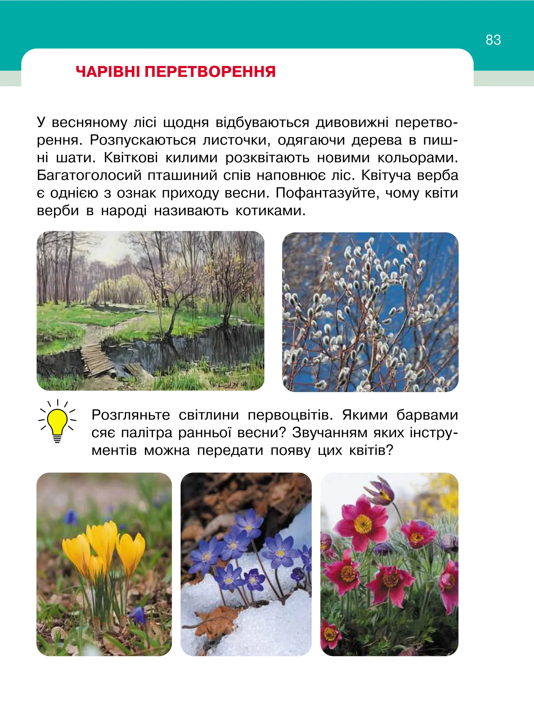 Slide 83