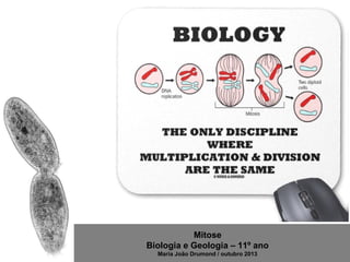 Mitose
Biologia e Geologia – 11º ano
Maria João Drumond / outubro 2013

 