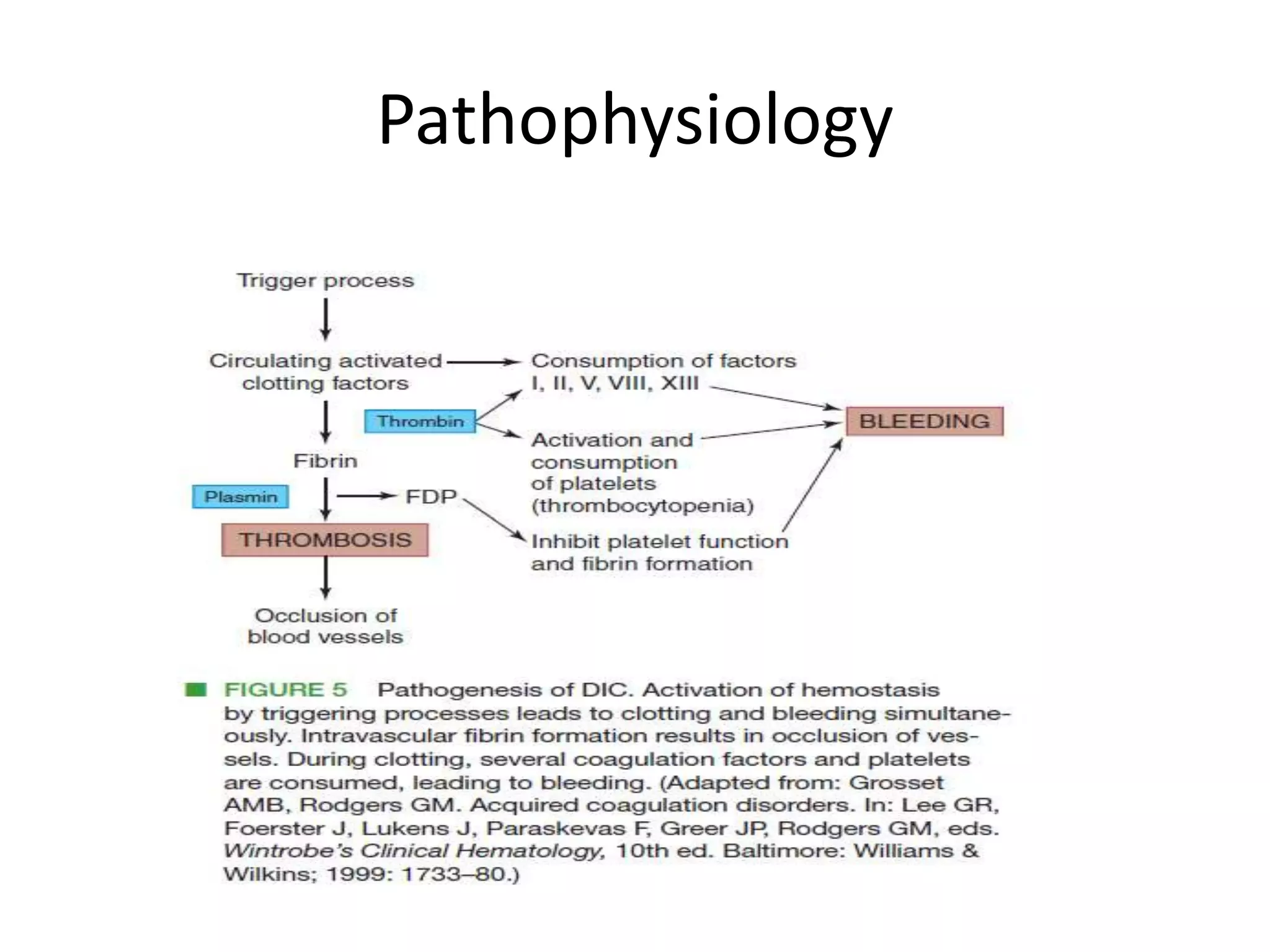 Pathophysiology
 
