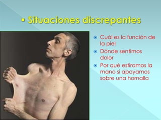 Estratégicas Innovadoras de Enseñanza