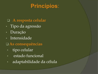 Princípios:
 A resposta celular
• Tipo da agressão
• Duração
• Intensidade
 As consequências
• tipo celular
• estado funcional
• adaptabilidade da célula
 