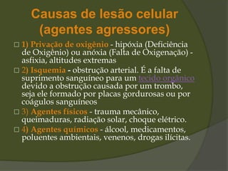 Causas de lesão celular
(agentes agressores)
 1) Privação de oxigênio - hipóxia (Deficiência
de Oxigênio) ou anóxia (Falta de Oxigenação) -
asfixia, altitudes extremas
 2) Isquemia - obstrução arterial. É a falta de
suprimento sanguíneo para um tecido orgânico
devido a obstrução causada por um trombo,
seja ele formado por placas gordurosas ou por
coágulos sanguíneos
 3) Agentes físicos - trauma mecânico,
queimaduras, radiação solar, choque elétrico.
 4) Agentes químicos - álcool, medicamentos,
poluentes ambientais, venenos, drogas ilícitas.
 