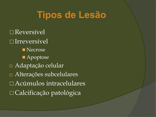 Tipos de Lesão
 Reversível
 Irreversível
 Necrose
 Apoptose
 Adaptação celular
 Alterações subcelulares
 Acúmulos intracelulares
 Calcificação patológica
 