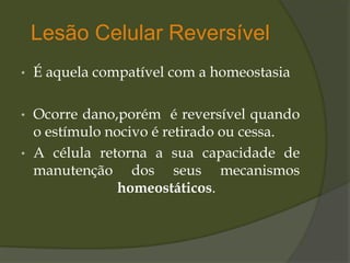 Lesão Celular Reversível
• É aquela compatível com a homeostasia
• Ocorre dano,porém é reversível quando
o estímulo nocivo é retirado ou cessa.
• A célula retorna a sua capacidade de
manutenção dos seus mecanismos
homeostáticos.
 