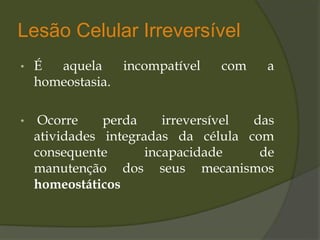 Lesão Celular Irreversível
• É aquela incompatível com a
homeostasia.
• Ocorre perda irreversível das
atividades integradas da célula com
consequente incapacidade de
manutenção dos seus mecanismos
homeostáticos
 