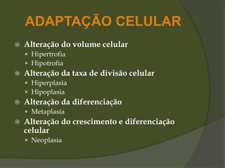 ADAPTAÇÃO CELULAR
 Alteração do volume celular
 Hipertrofia
 Hipotrofia
 Alteração da taxa de divisão celular
 Hiperplasia
 Hipoplasia
 Alteração da diferenciação
 Metaplasia
 Alteração do crescimento e diferenciação
celular
 Neoplasia
 