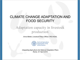 CLIMATE CHANGE ADAPTATION AND
FOOD SECURITY
Adaptation capacity in livestock
production
Anne Mottet, Livestock Policy Officer, FAO-AGAL
Integrating Agriculture into National Adaptation Plans
Rome, 5-7 April 2016
 