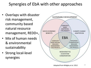 Synergies of EbA with other approaches
• Overlaps with disaster
risk management,
community based
natural resource
management, REDD+,
• Mix of human needs
& environmental
sustainability
• Strong local-level
synergies
Adapted from Midgley et al. 2012

14

 