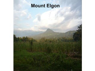 Mount Elgon

 