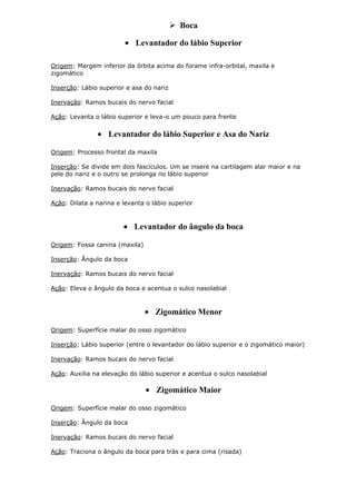  Boca
Levantador do lábio Superior
Origem: Margem inferior da órbita acima do forame infra-orbital, maxila e
zigomático
Inserção: Lábio superior e asa do nariz
Inervação: Ramos bucais do nervo facial
Ação: Levanta o lábio superior e leva-o um pouco para frente

Levantador do lábio Superior e Asa do Nariz
Origem: Processo frontal da maxila
Inserção: Se divide em dois fascículos. Um se insere na cartilagem alar maior e na
pele do nariz e o outro se prolonga no lábio superior
Inervação: Ramos bucais do nervo facial
Ação: Dilata a narina e levanta o lábio superior

Levantador do ângulo da boca
Origem: Fossa canina (maxila)
Inserção: Ângulo da boca
Inervação: Ramos bucais do nervo facial
Ação: Eleva o ângulo da boca e acentua o sulco nasolabial

Zigomático Menor
Origem: Superfície malar do osso zigomático
Inserção: Lábio superior (entre o levantador do lábio superior e o zigomático maior)
Inervação: Ramos bucais do nervo facial
Ação: Auxilia na elevação do lábio superior e acentua o sulco nasolabial

Zigomático Maior
Origem: Superfície malar do osso zigomático
Inserção: Ângulo da boca
Inervação: Ramos bucais do nervo facial
Ação: Traciona o ângulo da boca para trás e para cima (risada)

 