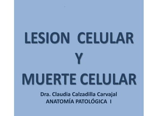 Dra. Claudia Calzadilla Carvajal
  ANATOMÍA PATOLÓGICA I
 