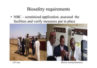 B4FA 2012 Nigeria: Maruca-resistant Cowpea Research in Nigeria - Muhammad Lawan