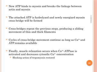 Muscle Physiology power point presentation.pptx