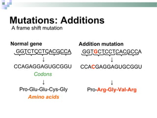 Gene mutations | PPT