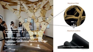 [글로벌퓨처임팩트컨퍼런스] 세션2_Ronaldiaz Hartantyo(MYCL)