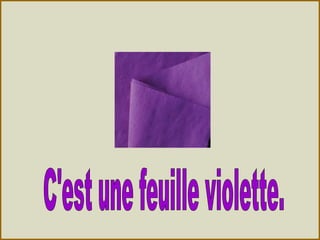 Les Couleurs