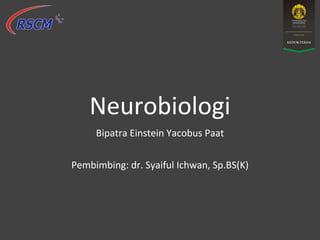 Neurobiologi
Bipatra Einstein Yacobus Paat
Pembimbing: dr. Syaiful Ichwan, Sp.BS(K)
 
