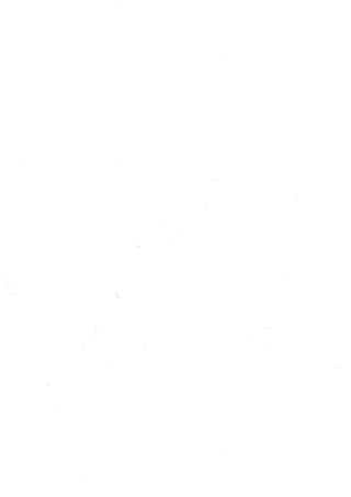 2n andrea00601920150421135819