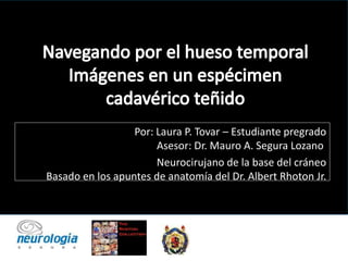 Por: Laura P. Tovar – Estudiante pregrado
Asesor: Dr. Mauro A. Segura Lozano
Neurocirujano de la base del cráneo
Basado en los apuntes de anatomía del Dr. Albert Rhoton Jr.
 
