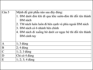 Câu 5 Mệnh đề giải phẫu nào sau đây đúng:
1. ĐM dưới đòn khi đi qua khe sườn-đòn thì đổi tên thành
ĐM nách
2. TM nách luôn luôn đi bên cạnh và phía ngoài ĐM nách
3. ĐM nách có 6 nhánh bên chính
4. ĐM nách đi xuống bờ dưới cơ ngực bé thì đổi tên thành
ĐM cánh tay
A 1; 3 đúng
B 2; 4 đúng
C 1; 2; 3 đúng
D Chỉ có 4 đúng
E 1; 2; 3; 4 đúng
 