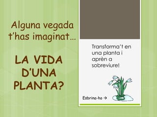 Alguna vegada
t’has imaginat…
                      Transforma’t en
                      una planta i
 LA VIDA              aprèn a
                      sobreviure!
  D’UNA
 PLANTA?
                  Esbrina-ho 
 