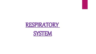 RESPIRATORY
SYSTEM
 