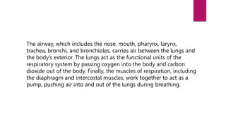 The airway, which includes the nose, mouth, pharynx, larynx,
trachea, bronchi, and bronchioles, carries air between the lungs and
the body’s exterior. The lungs act as the functional units of the
respiratory system by passing oxygen into the body and carbon
dioxide out of the body. Finally, the muscles of respiration, including
the diaphragm and intercostal muscles, work together to act as a
pump, pushing air into and out of the lungs during breathing.
 
