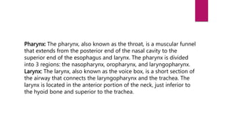 Pharynx: The pharynx, also known as the throat, is a muscular funnel
that extends from the posterior end of the nasal cavity to the
superior end of the esophagus and larynx. The pharynx is divided
into 3 regions: the nasopharynx, oropharynx, and laryngopharynx.
Larynx: The larynx, also known as the voice box, is a short section of
the airway that connects the laryngopharynx and the trachea. The
larynx is located in the anterior portion of the neck, just inferior to
the hyoid bone and superior to the trachea.
 