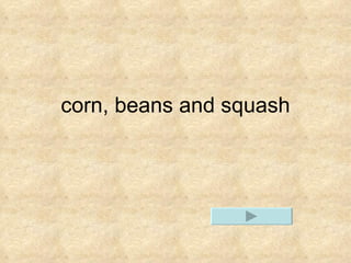 corn, beans and squash