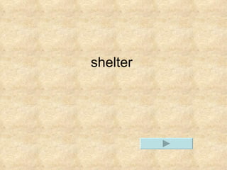 shelter 