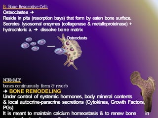 2nd-osteoporosis- and the drugs att.pptx