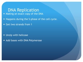 DNA Replication
 Making an exact copy of the DNA
 Happens during the S-phase of the cell cycle.
 Get two strands from 1
 Unzip with helicase
 Add bases with DNA Polymerase
 