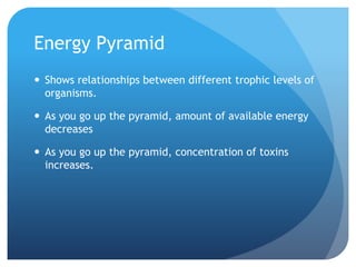 Energy Pyramid
 Shows relationships between different trophic levels of
organisms.
 As you go up the pyramid, amount of available energy
decreases
 As you go up the pyramid, concentration of toxins
increases.
 