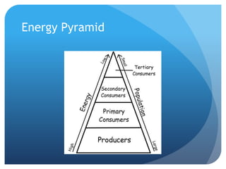 Energy Pyramid
 