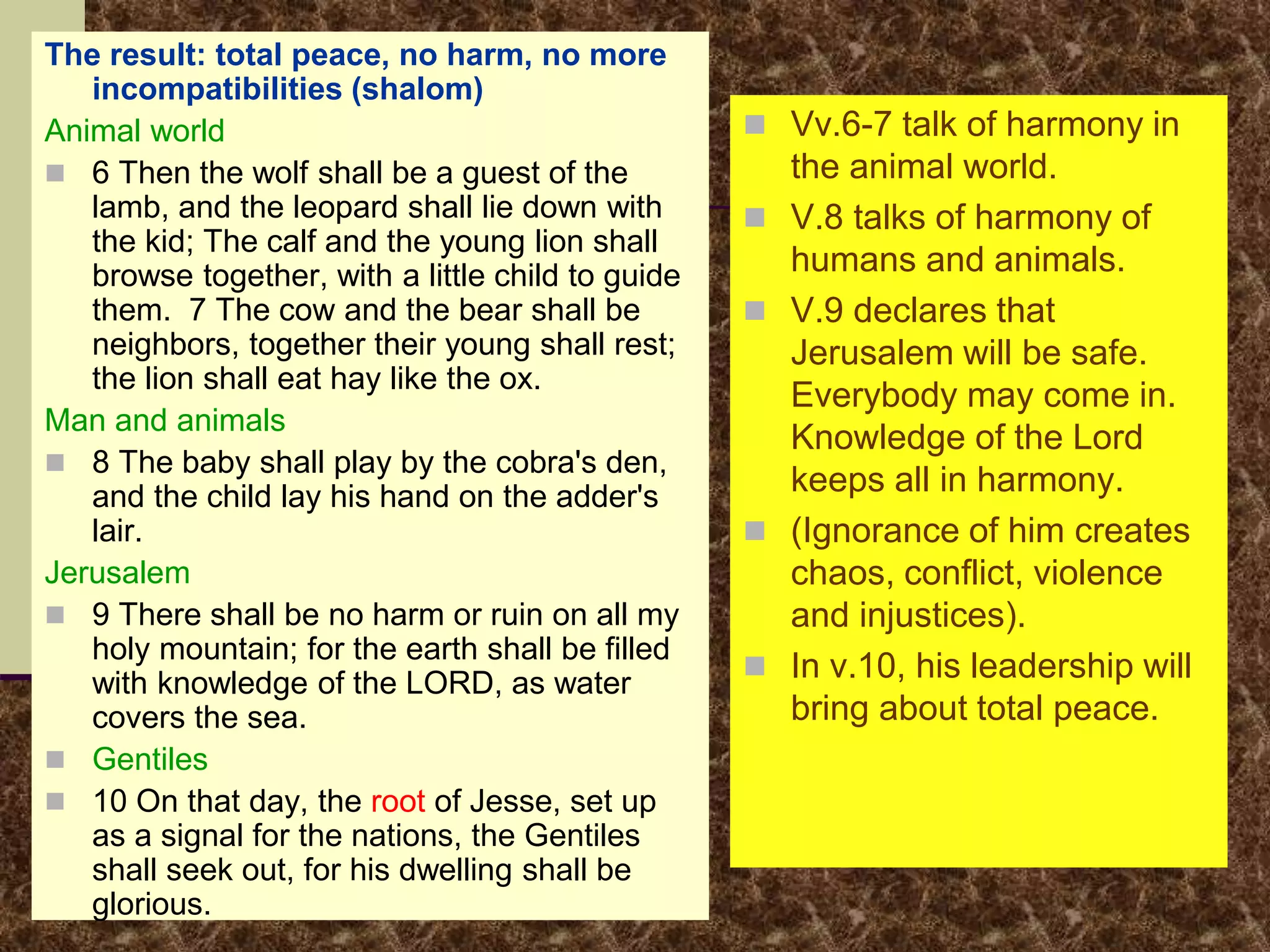 The result: total peace, no harm, no more
incompatibilities (shalom)
Animal world
 6 Then the wolf shall be a guest of the
lamb, and the leopard shall lie down with
the kid; The calf and the young lion shall
browse together, with a little child to guide
them. 7 The cow and the bear shall be
neighbors, together their young shall rest;
the lion shall eat hay like the ox.
Man and animals
 8 The baby shall play by the cobra's den,
and the child lay his hand on the adder's
lair.
Jerusalem
 9 There shall be no harm or ruin on all my
holy mountain; for the earth shall be filled
with knowledge of the LORD, as water
covers the sea.
 Gentiles
 10 On that day, the root of Jesse, set up
as a signal for the nations, the Gentiles
shall seek out, for his dwelling shall be
glorious.
 Vv.6-7 talk of harmony in
the animal world.
 V.8 talks of harmony of
humans and animals.
 V.9 declares that
Jerusalem will be safe.
Everybody may come in.
Knowledge of the Lord
keeps all in harmony.
 (Ignorance of him creates
chaos, conflict, violence
and injustices).
 In v.10, his leadership will
bring about total peace.
 