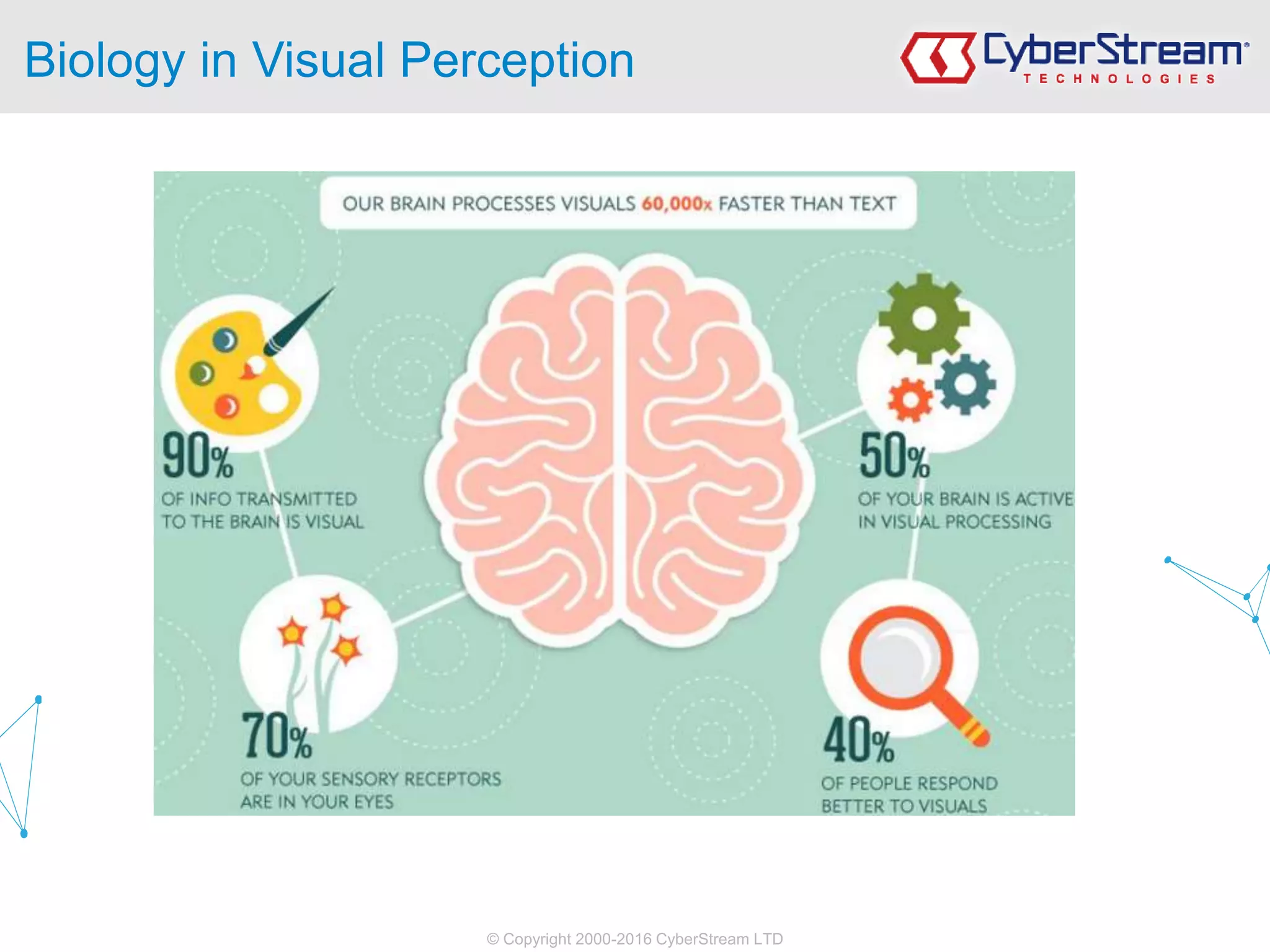 © Copyright 2000-2016 CyberStream LTD
Biology in Visual Perception
 