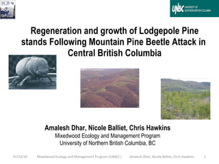 Regeneration and growth of Lodgepole Pine stands Following Mountain Pine Beetle Attack in  Central British Columbia Mixedwood Ecology and Management Program (UNBC) |  Amalesh Dhar, Nicole Balliet, Chris Hawkins 07/23/10 Amalesh Dhar, Nicole Balliet, Chris Hawkins Mixedwood Ecology and Management Program University of Northern British Columbia, BC 
