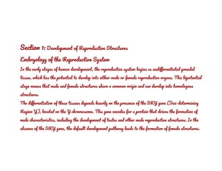 2nd Fileuntitled Document Google Docs Pdf