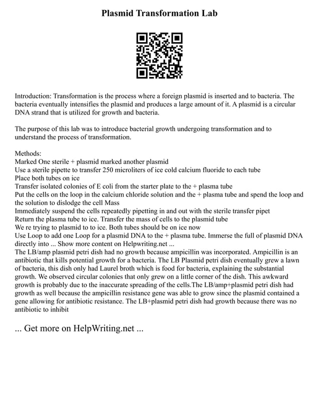 2Nd Grade Blank Writing Paper Handwriting Paper | PDF